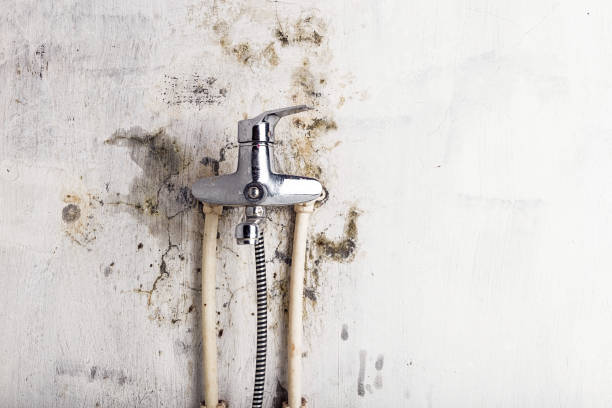 Best Residential Mold Remediation in Burnet, TX