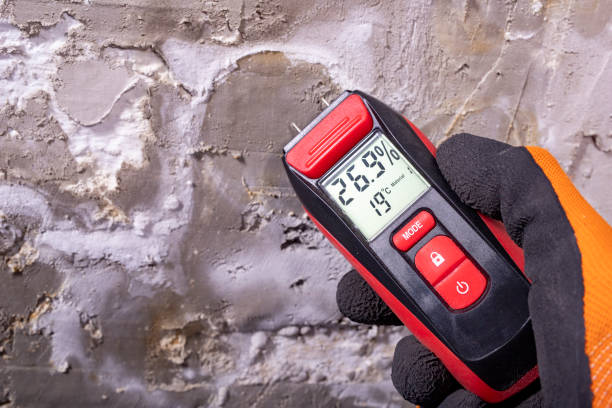 Best Attic Mold Remediation in Burnet, TX